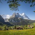 Grindelwald