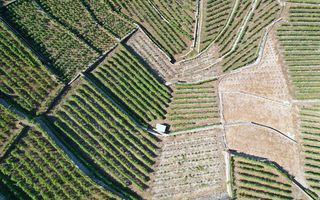 vue aérienne vignoble Lavaux