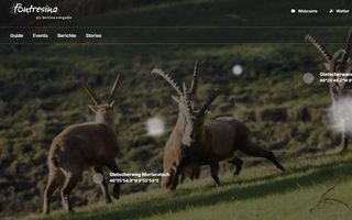 Webseite Pontresina Tourismus