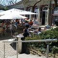 Parkcafé Elfenau