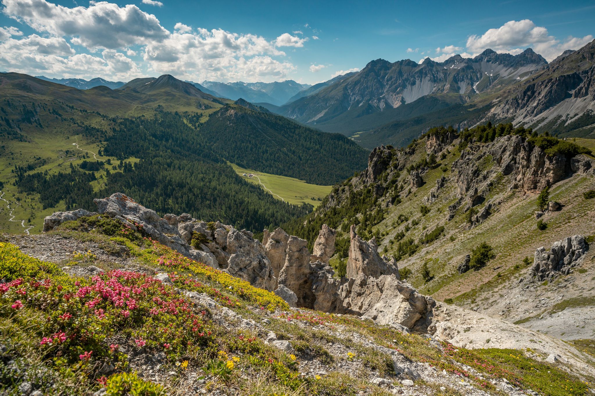 Publikumsmagnet Schweizerischer Nationalpark htr ch